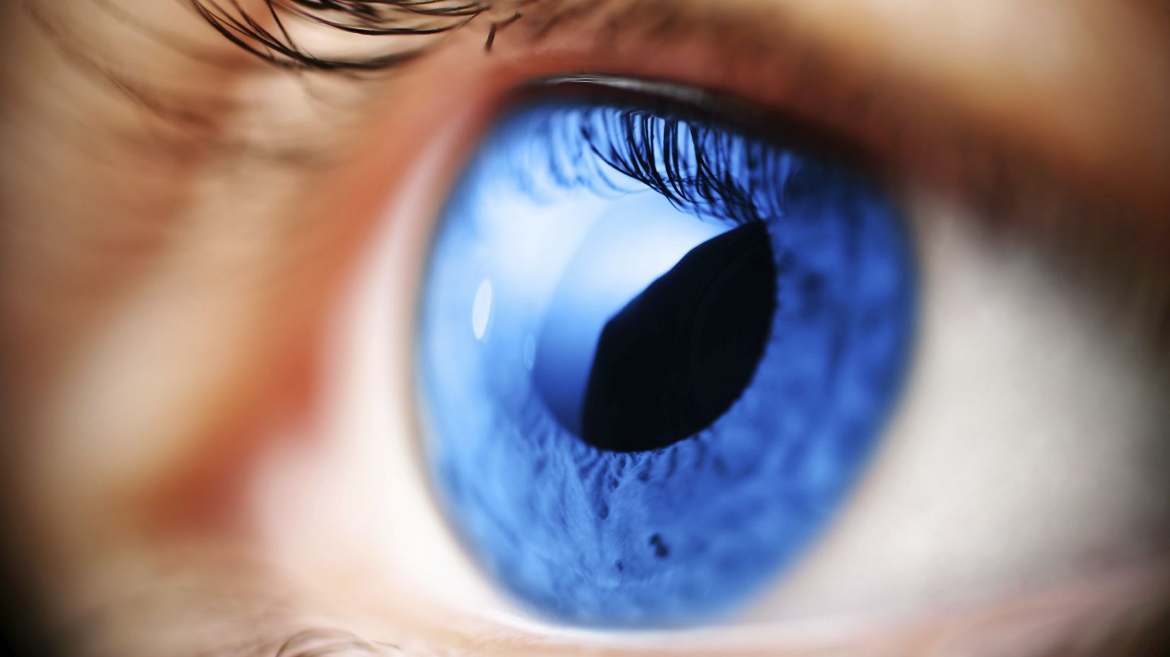istock_000005843344medium_wide-cbe1675cc0ff9b52aef7ec6f2b74422fa82a111c_compressed
